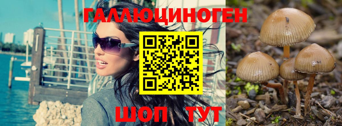 Сафоново  Галлюциногенные грибы мицелий  Псилоцибиновые грибы Magic Shrooms  Вход с VPN 